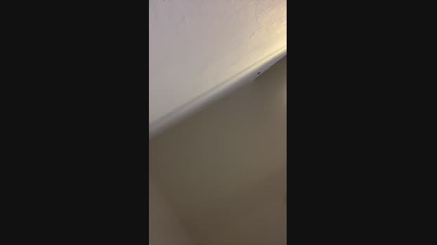 Casall01 28-12-2024 Recorded Video ass