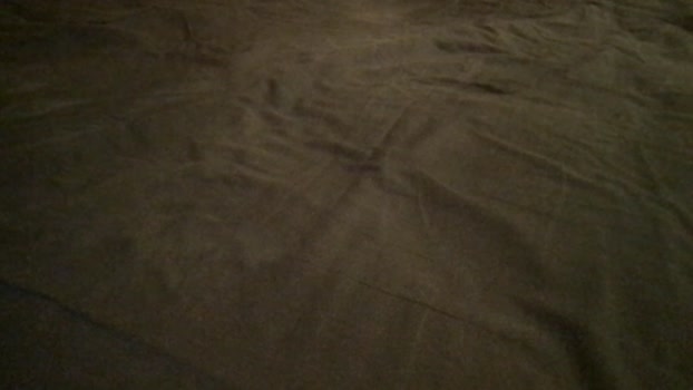 Dalome 27-12-2024 Recorded Video kissing
