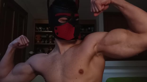 Frabroker 28-12-2024 Recorded Video natural