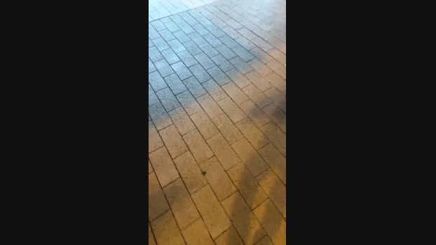 JOREDD 27-12-2024 Recorded Video moan