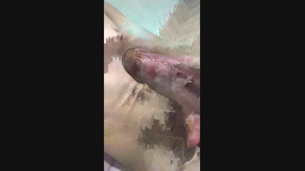 Magrinho2025 27-12-2024 Recorded Video Naked