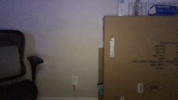 bossman260 28-12-2024 Recorded Video toy