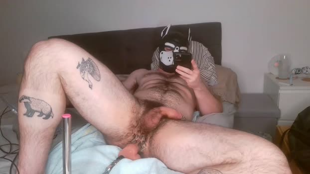 gaymuscledoc 27-12-2024 Recorded Video handsome