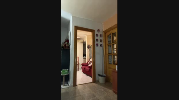 gipsybrown 28-12-2024 Recorded Video kink