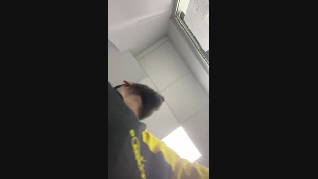 Belvedere7889 28-12-2024 Recorded Video big