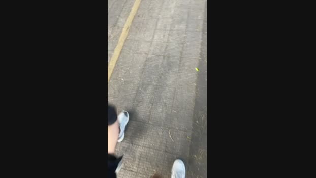 Bran_bsj 29-12-2024 Recorded Video fingers