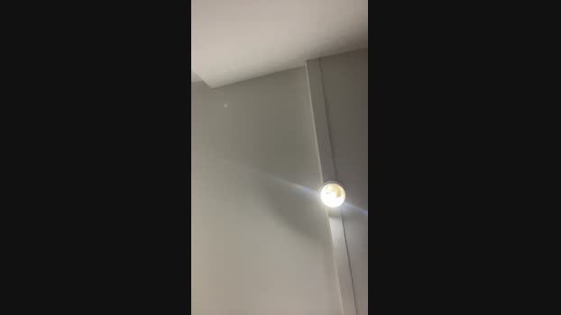 Casall01 29-12-2024 Recorded Video orgasm