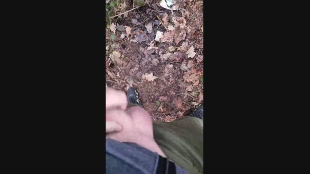 Outdoorgeil1 29-12-2024 Recorded Video moan