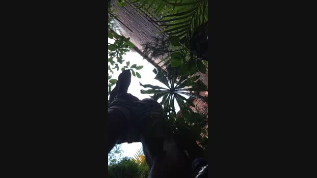 Sexylatinogay 29-12-2024 Recorded Video beautiful
