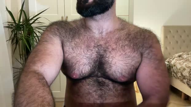 bearhairs 29-12-2024 Recorded Video big