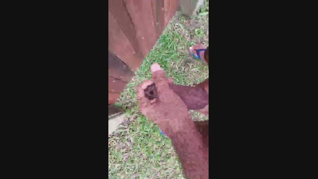 souzakw2 29-12-2024 Recorded Video beautiful