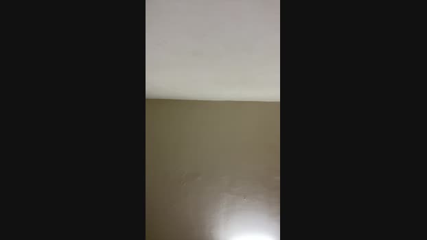 Foxfoxfox 30-12-2024 Recorded Video kissing