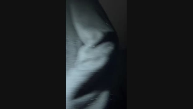Pollon29_cm 30-12-2024 Recorded Video Cam