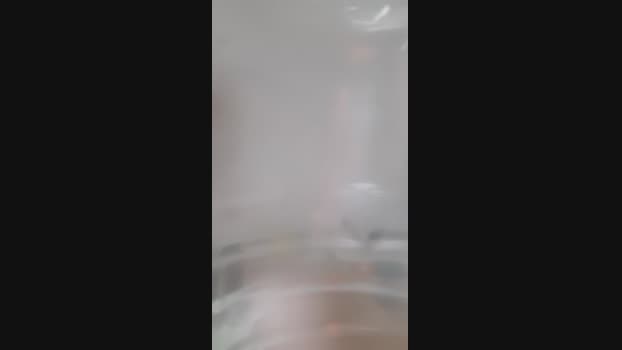 Zeromunchen 29-12-2024 Recorded Video sexybody