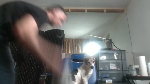 againandagin 30-12-2024 Recorded Video fuckass