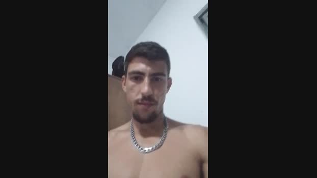 NovinhoDotVst