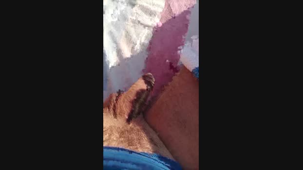 Pegaso369 31-12-2024 Recorded Video nasty
