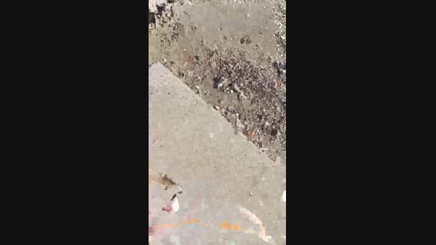 Pegaso369 31-12-2024 Recorded Video analtoy