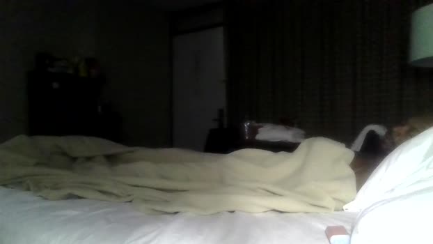 RonniePipeHer 31-12-2024 Recorded Video toys