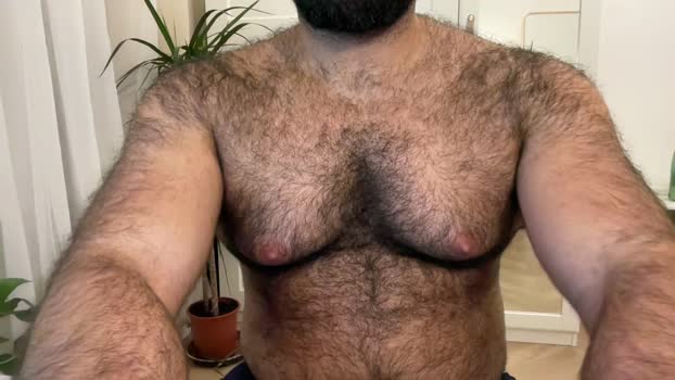 bearhairs 31-12-2024 Recorded Video Video