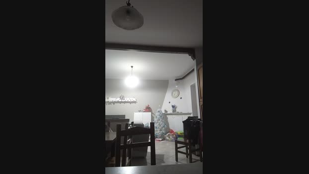 michaelgrandi23 30-12-2024 Recorded Video kiss