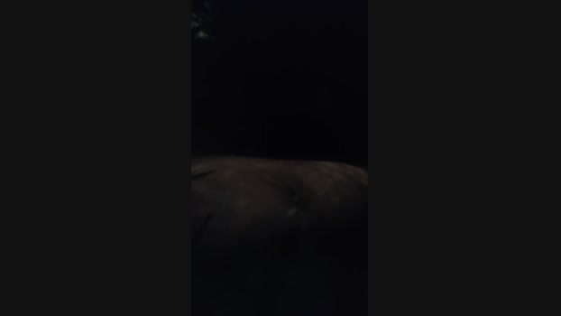 Fetichistahard 01-01-2025 Recorded Video orgasm