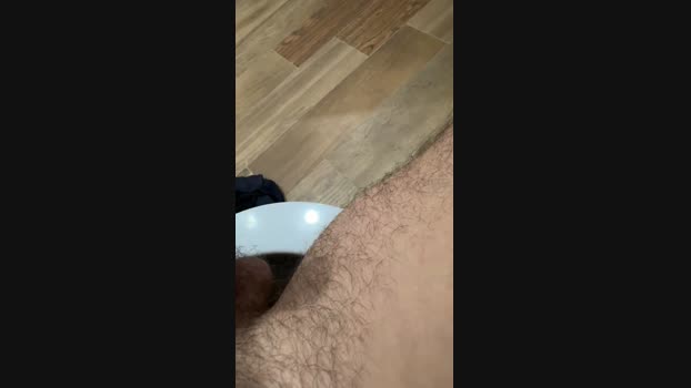Zorro2024 01-01-2025 Recorded Video Video