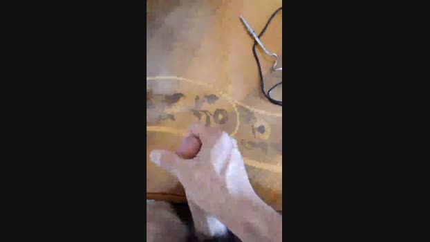 albaniacaserta4 01-01-2025 Recorded Video big