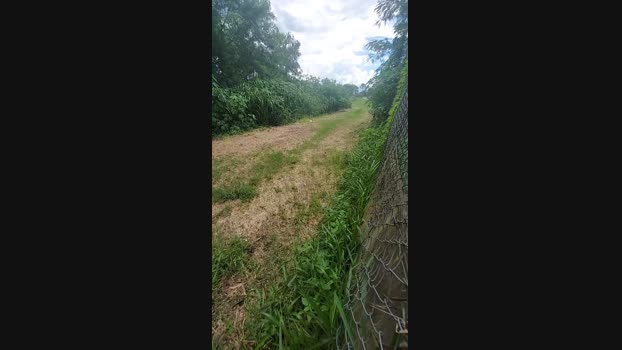 jao_magrao 31-12-2024 Recorded Video handsome