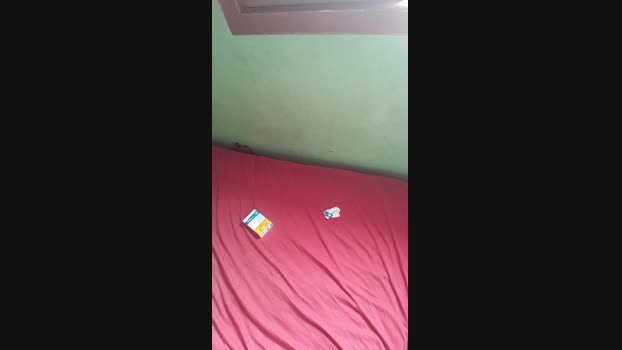 pedroputosc 31-12-2024 Recorded Video bigass