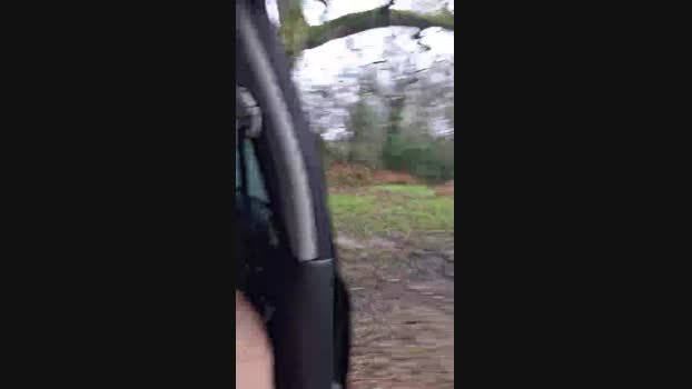sub_on_display 01-01-2025 Recorded Video fuckhard