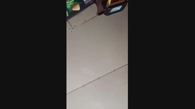 Linekerhoms 01-01-2025 Recorded Video fuck