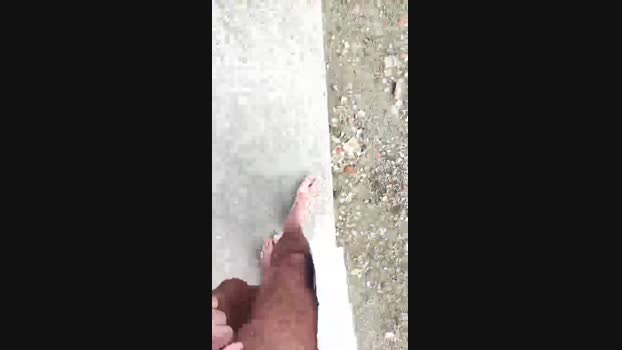Pegaso369 02-01-2025 Recorded Video wank