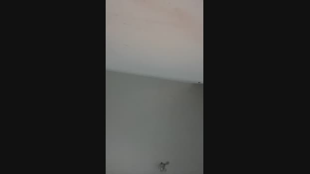 Casall01 03-01-2025 Recorded Video big