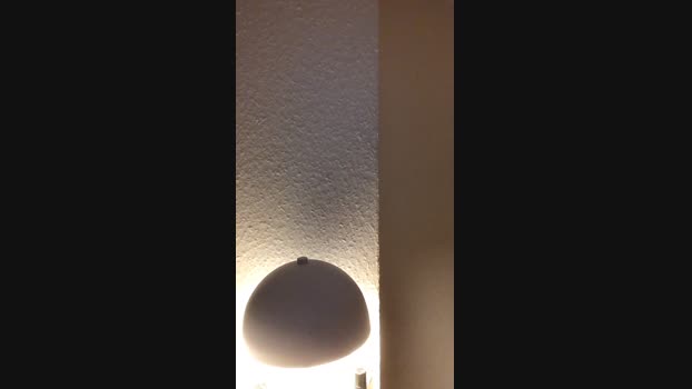 PP_1995 02-01-2025 Recorded Video hard