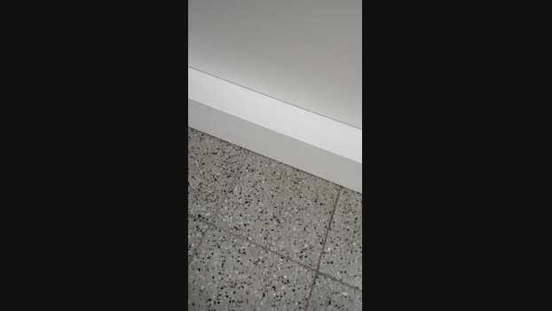felixm98 02-01-2025 Recorded Video love