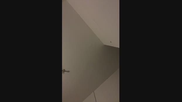 Casall01 03-01-2025 Recorded Video sweet