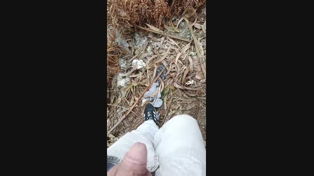 Francisco198308 04-01-2025 Recorded Video bigload