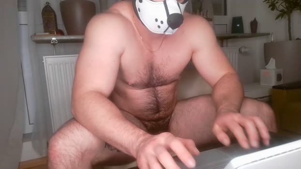 gaymuscledoc