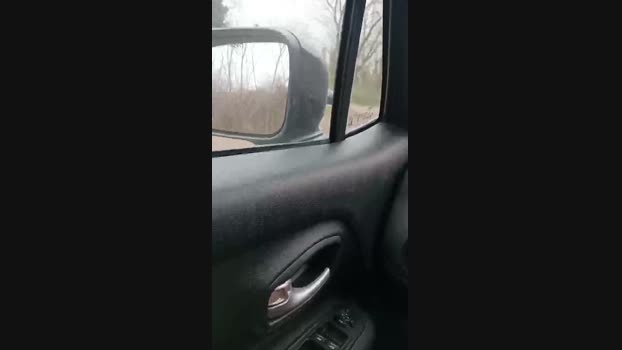 lovetrans111 04-01-2025 Recorded Video moan