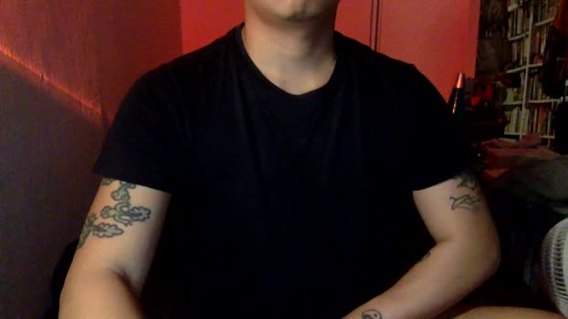 zhishanist4 04-01-2025 Recorded Video toy