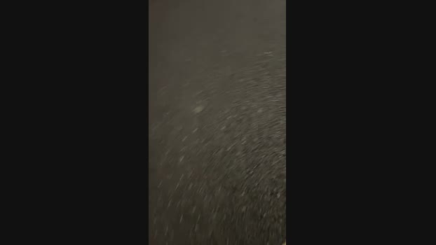 Foxfoxfox 06-01-2025 Recorded Video fuck