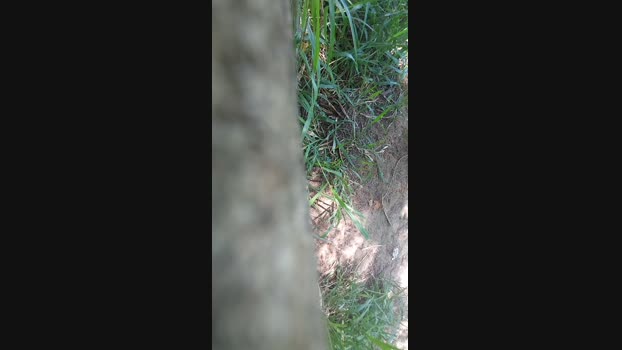 jao_magrao 06-01-2025 Recorded Video harddick