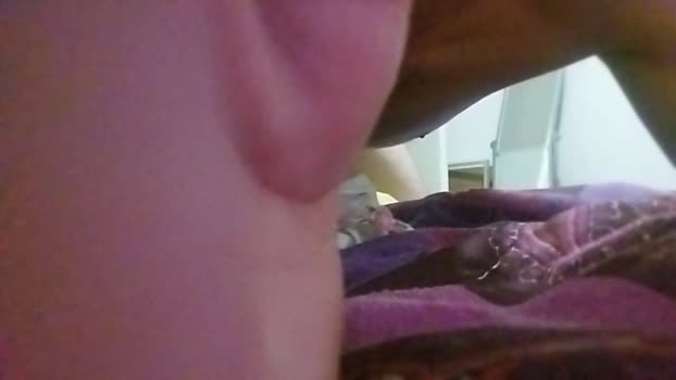 Anal3301