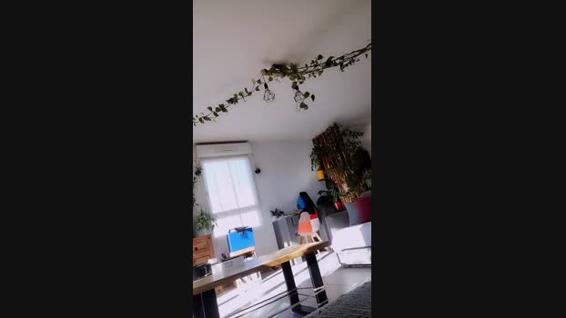 Jok20x 07-01-2025 Recorded Video twink