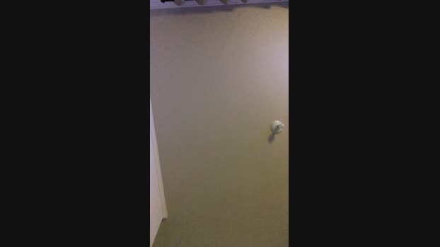 Pedrobarboza01 06-01-2025 Recorded Video fuckher