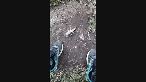 _Gabriell 08-01-2025 Recorded Video love