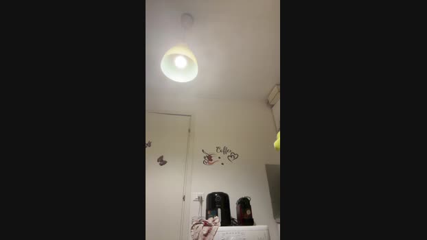 Hshwhwva 08-01-2025 Recorded Video sexykitty