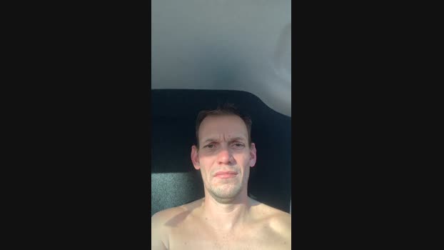bashor1