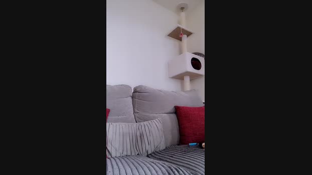 Jok20x 09-01-2025 Recorded Video fuckface